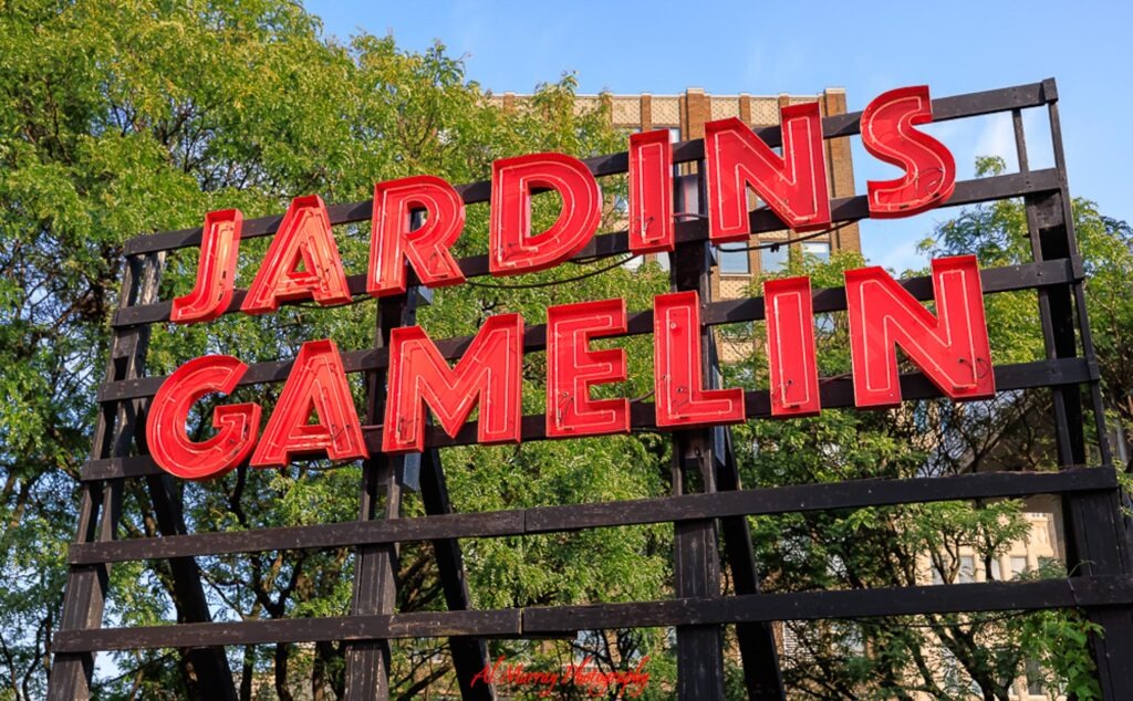 Red neon "JARDINS GAMELIN" sign mounted on a black frame with leafy green trees and city buildings behind it under a bright blue sky. The scene shows the urban setting around Jardins Gamelin for readers comparing where to stay in Montreal for mature travellers.