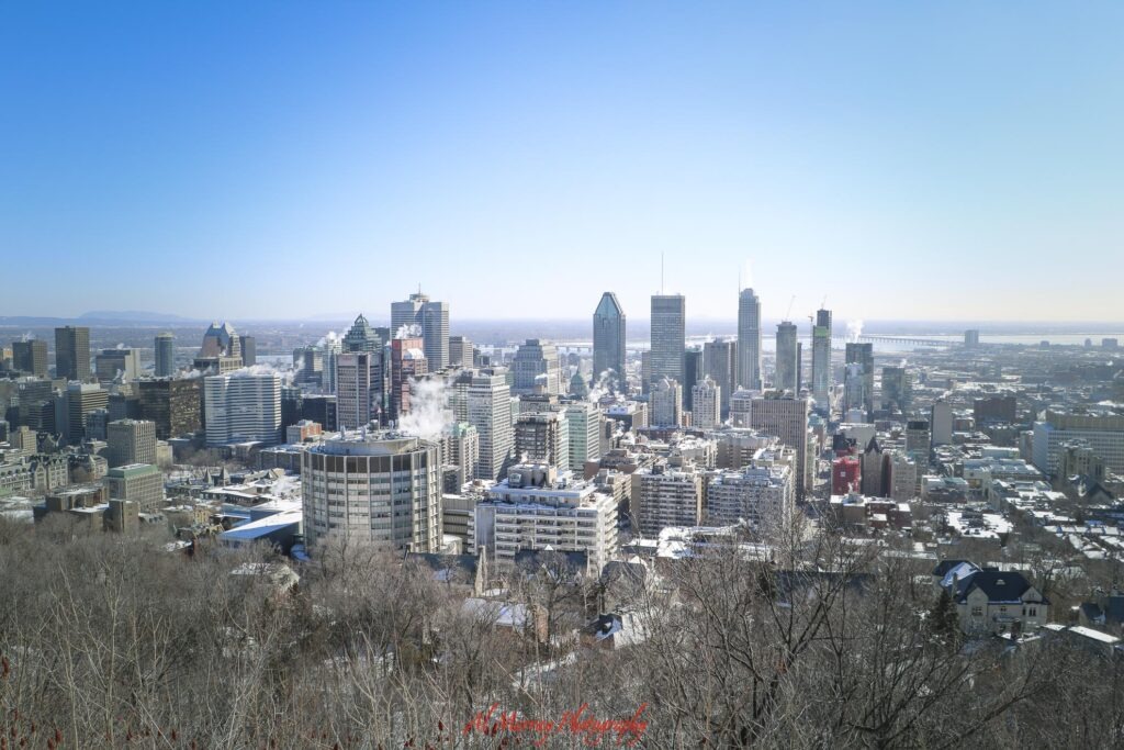 how much do hotels cost in Montreal Snow covered Montreal skyline viewed from above on a clear winter day with downtown skyscrapers rising beyond bare trees. The city view adds context for travelers researching how much do hotels cost in Montreal and comparing places to stay downtown.