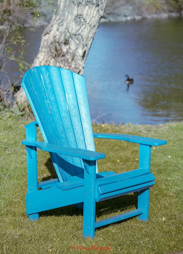 A bright turquoise Adirondack chair sits on grass beside a pond with a duck floating in the background and a large tree trunk behind it. The quiet waterfront setting creates a peaceful spot to sit and relax. Red script at the bottom reads “Al Murray Photography”.