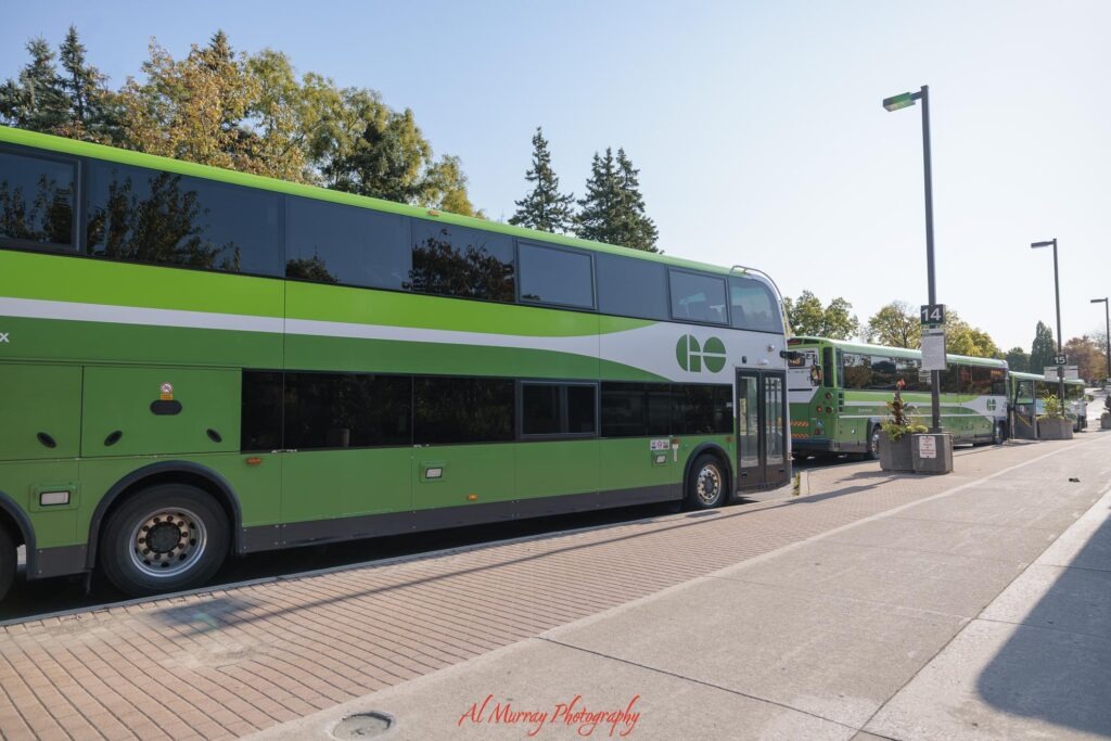 Green GO Transit double decker buses line up at a station platform on a sunny day. The buses show a public transit option that can be part of a Guelph day trip.