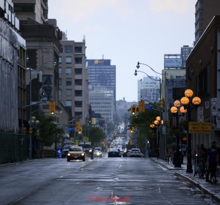 Rain falls on a busy downtown Toronto street with wet pavement. Cars move between tall buildings while glowing street lamps line the sidewalk.