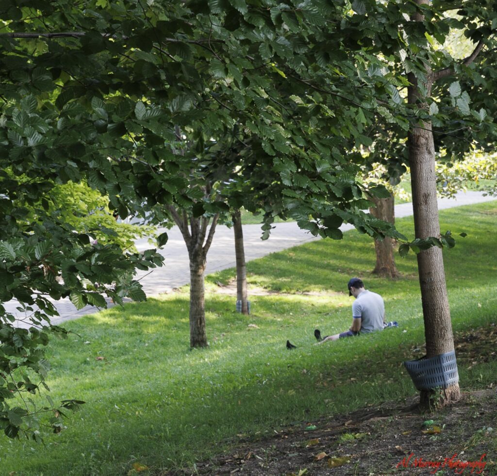 A man sits alone on a lush green grassy slope beneath leafy trees beside a winding paved pathway in a peaceful Toronto park. Relaxing in a shaded green space is one of the quieter things to do in Yorkville Toronto away from the busy shopping streets.