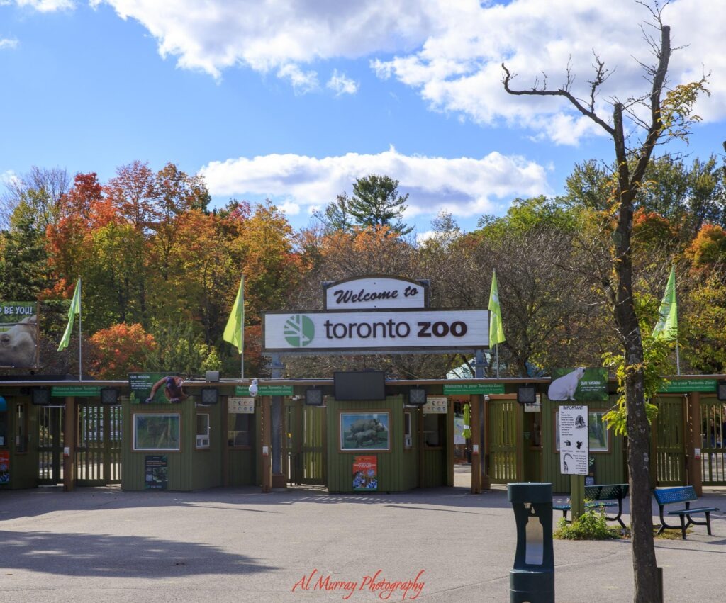 Toronto Zoo guide Main entrance to the Toronto Zoo beneath a large "Welcome to Toronto Zoo" sign with ticket gates and colorful autumn trees behind it. The entrance area is an important starting point when planning Toronto Zoo accessibility.
